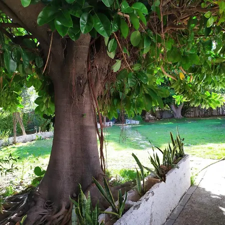 Acuario Appartamento
